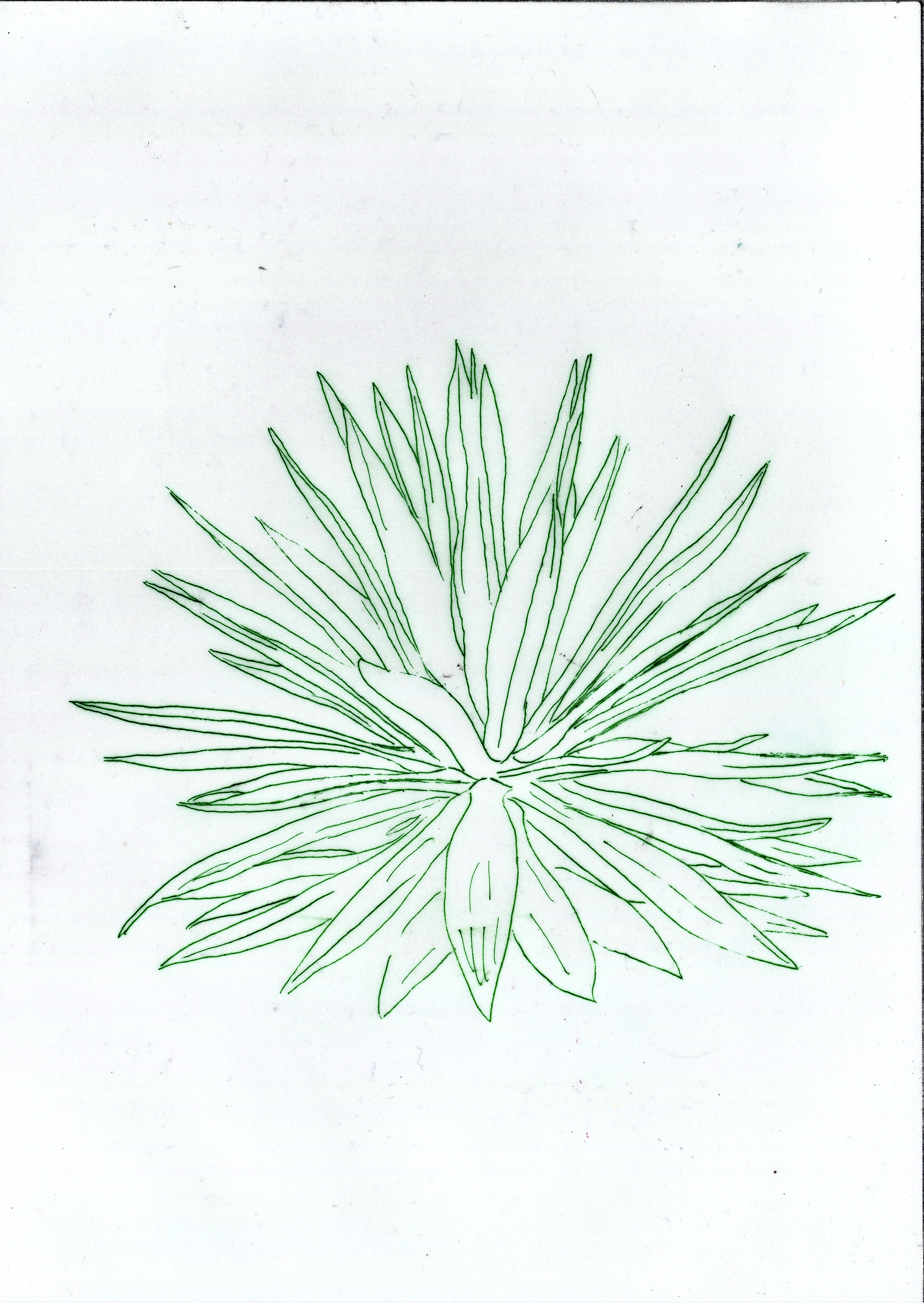 شاب احسان احسان