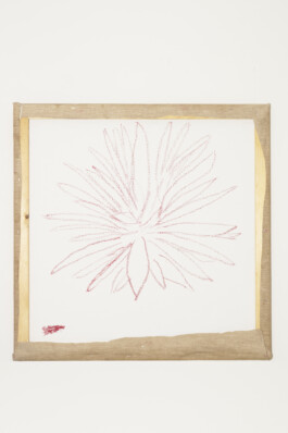 شاب احسان احسان