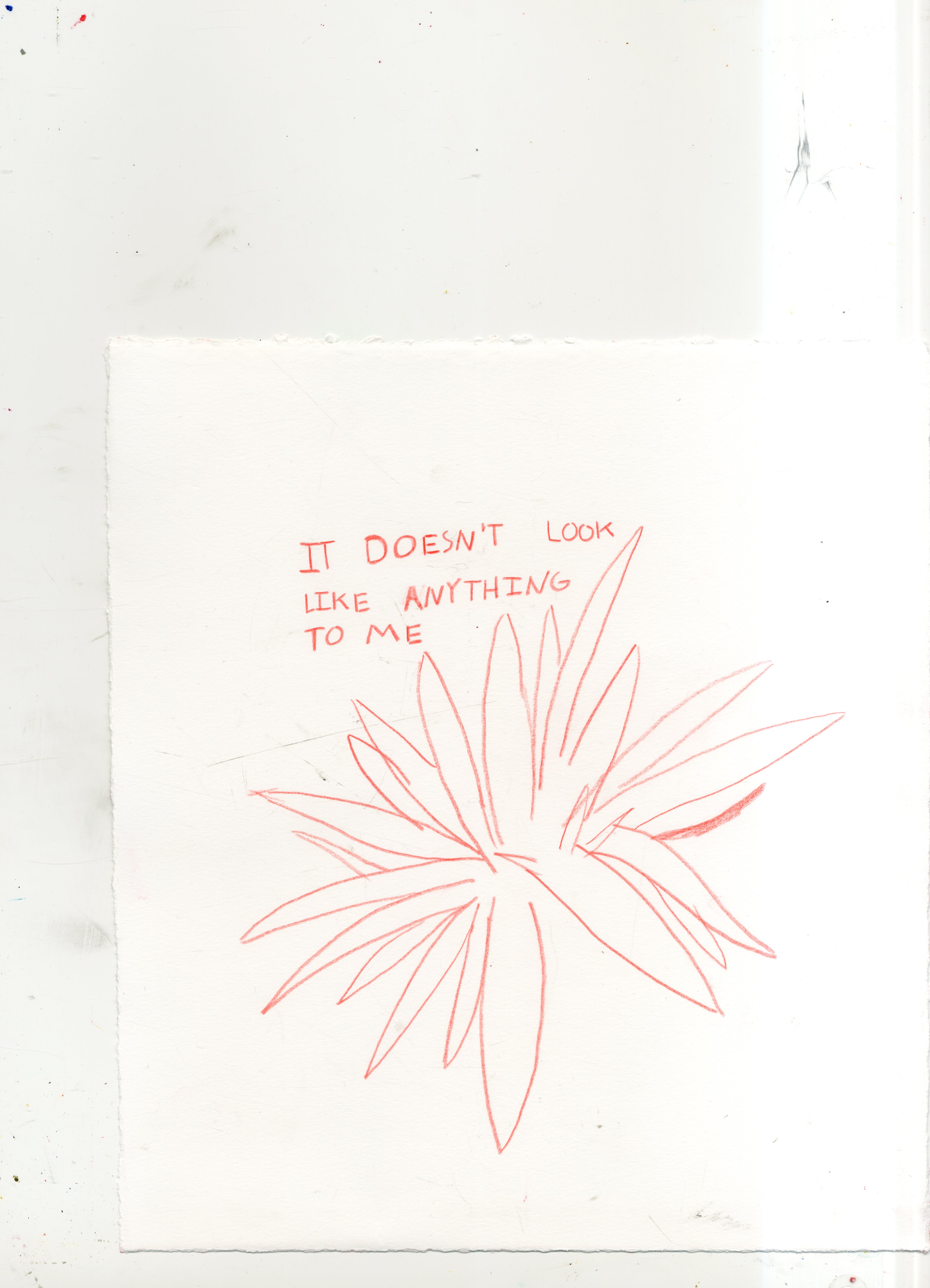 شاب احسان احسان