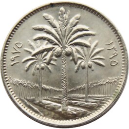 شاب احسان احسان