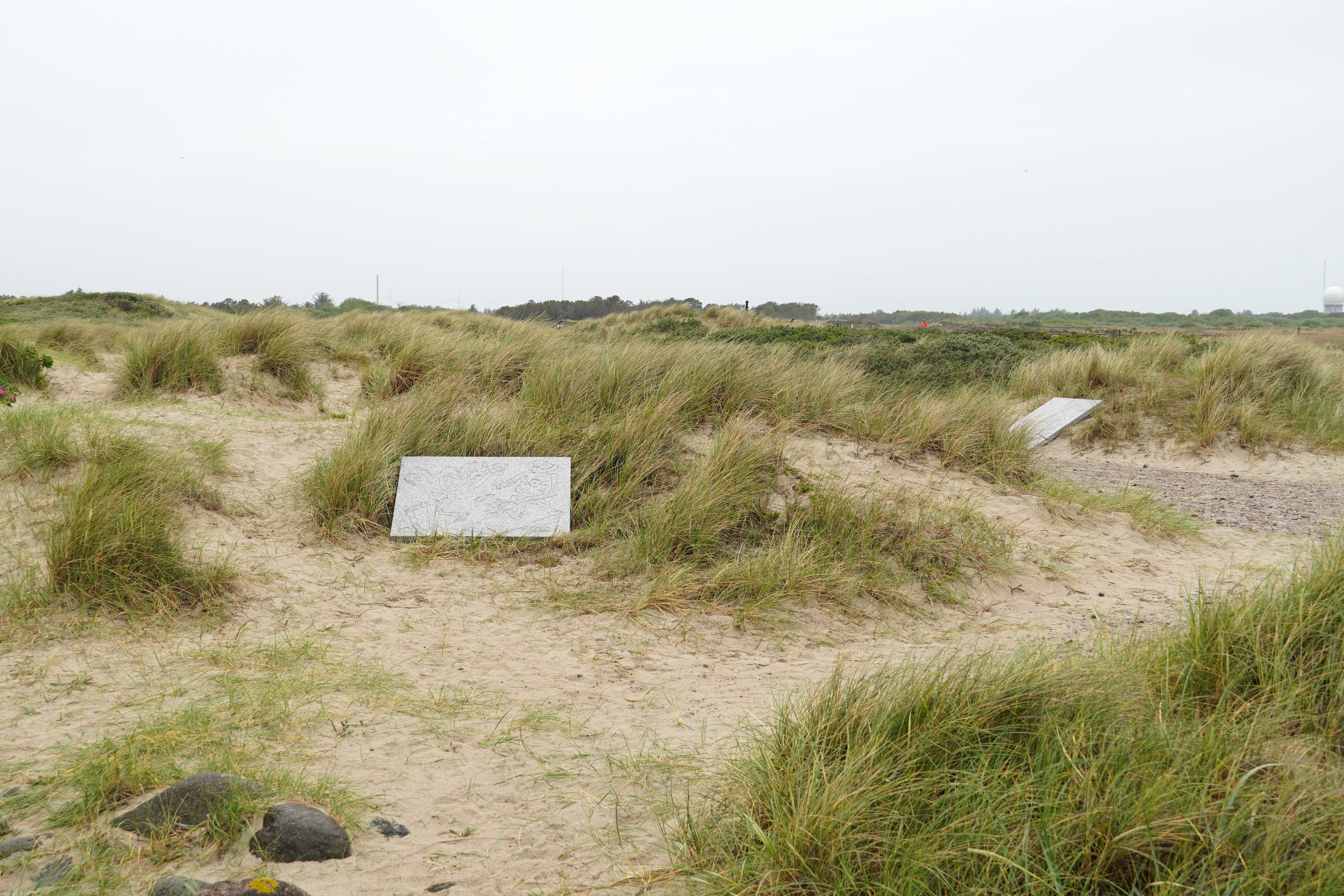 شاب احسان احسان