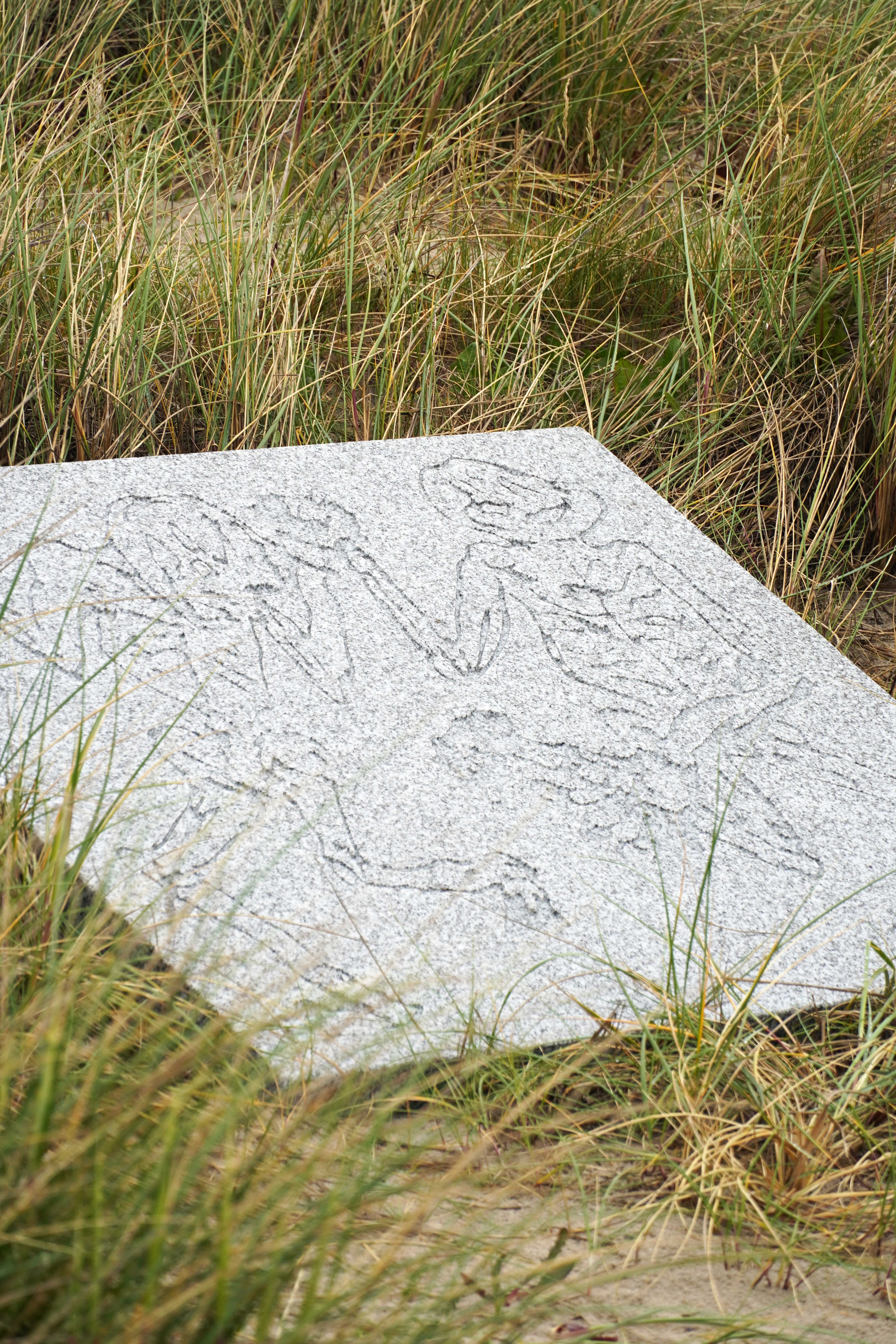 شاب احسان احسان