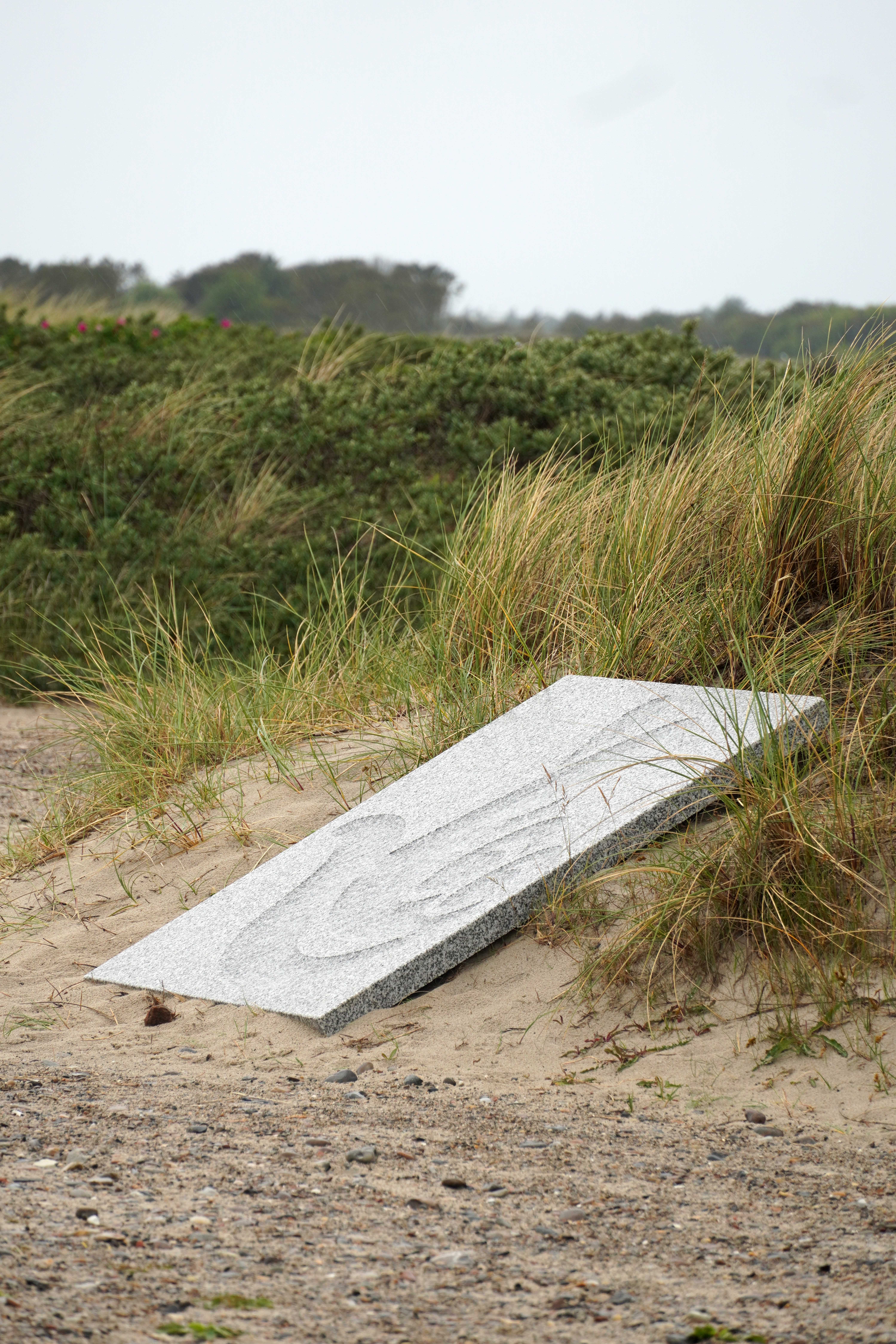 شاب احسان احسان