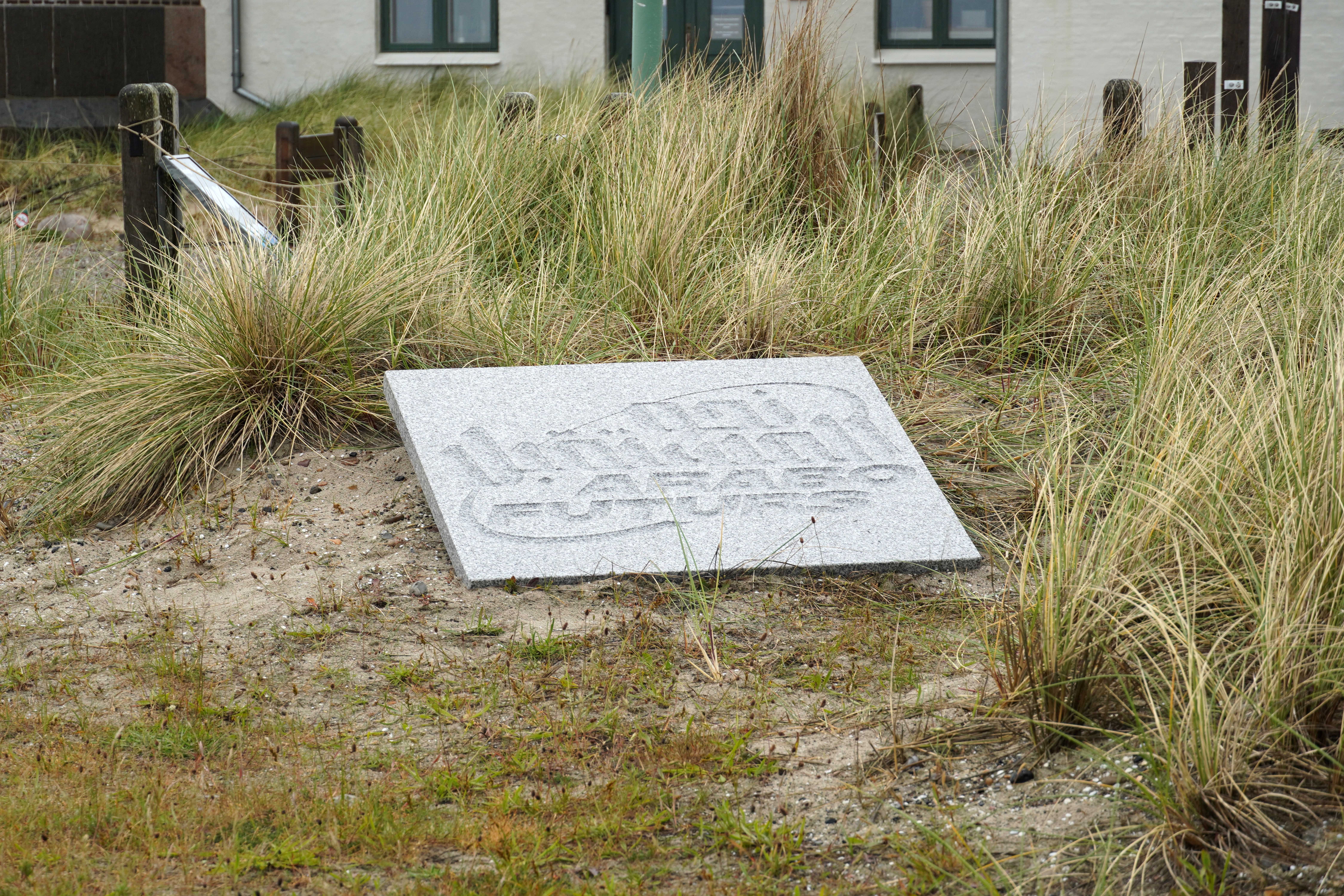 شاب احسان احسان