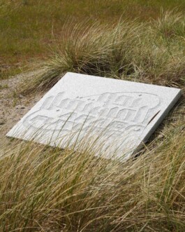 شاب احسان احسان