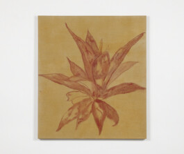 شاب احسان احسان