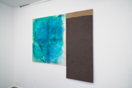 شاب احسان احسان