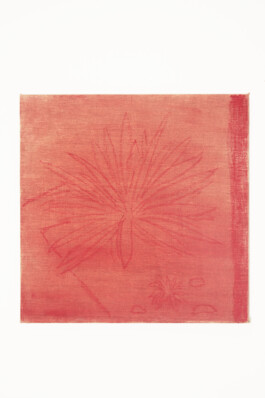 شاب احسان احسان