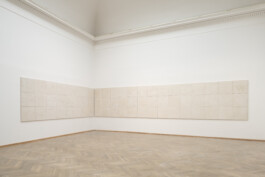 شاب احسان احسان